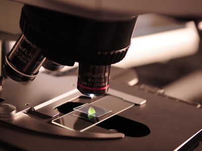 Introducing Lab Report when Failed Experiment
